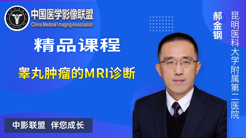 睾丸肿瘤的MRI诊断