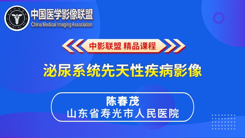 泌尿系统先天性疾病影像诊断