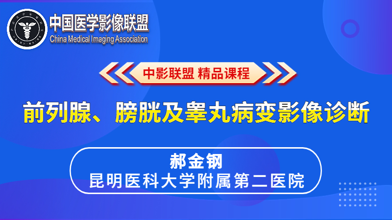 前列腺、膀胱及睾丸病变影像诊断