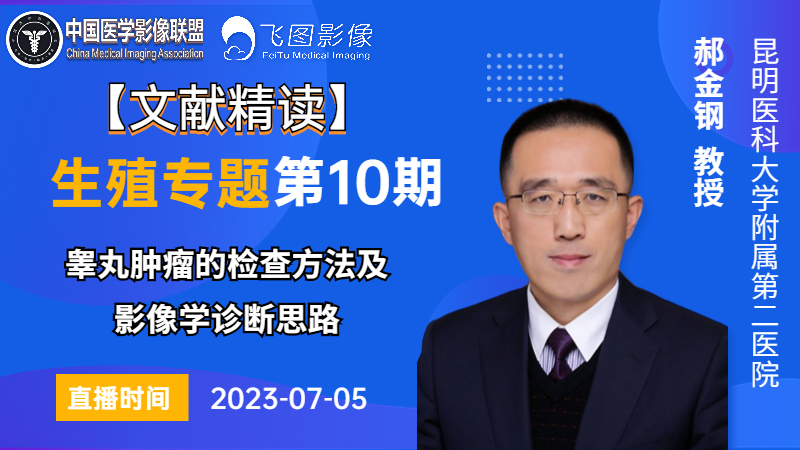 睾丸肿瘤的检查方法及 影像学诊断思路