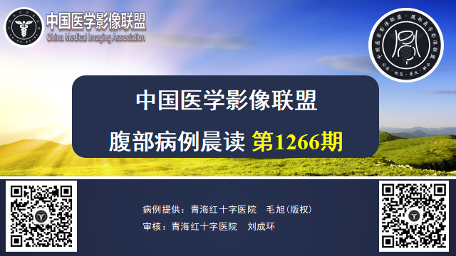 中国医学影像联盟2023-08-17腹部群读片