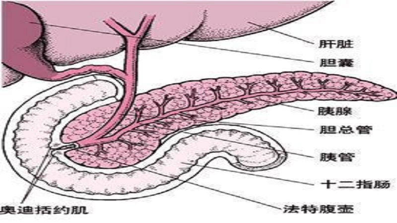 胰腺假性囊肿是假冒的吗？