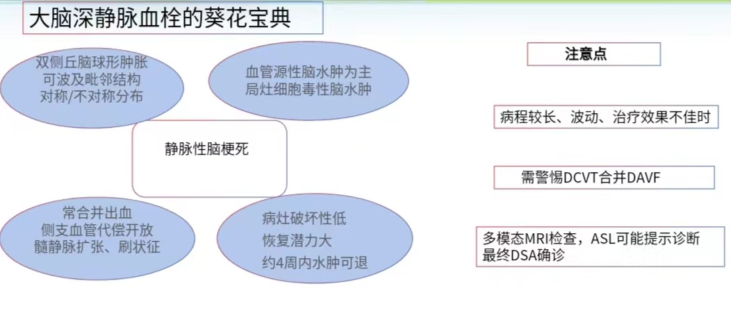 双侧丘脑同时受累的特殊脑梗死（深部脑静脉血栓形成）