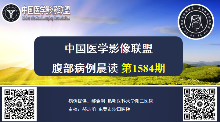 2024.10.23腹部晨读第1584期结果