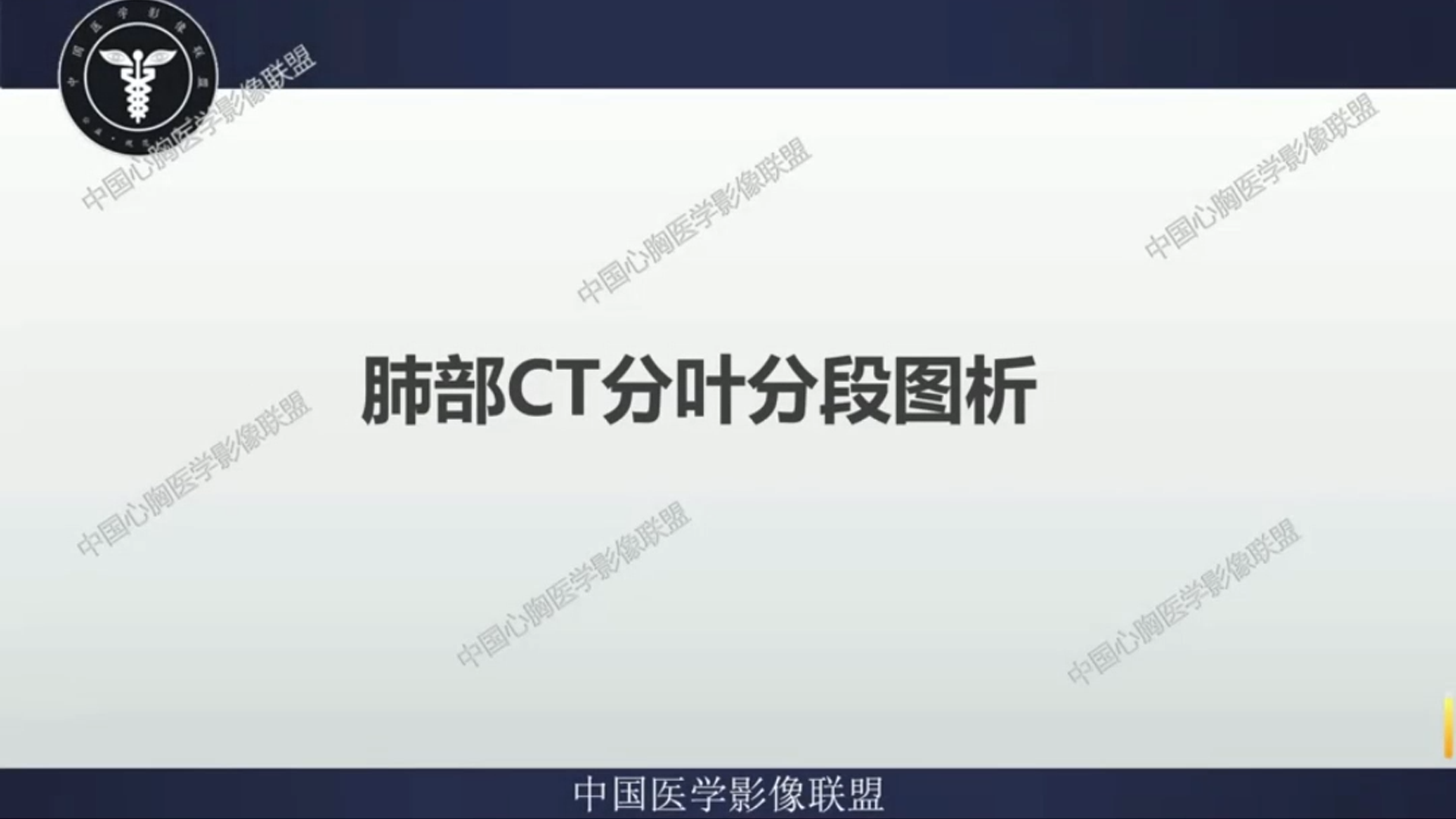 肺部CT分叶分段图析