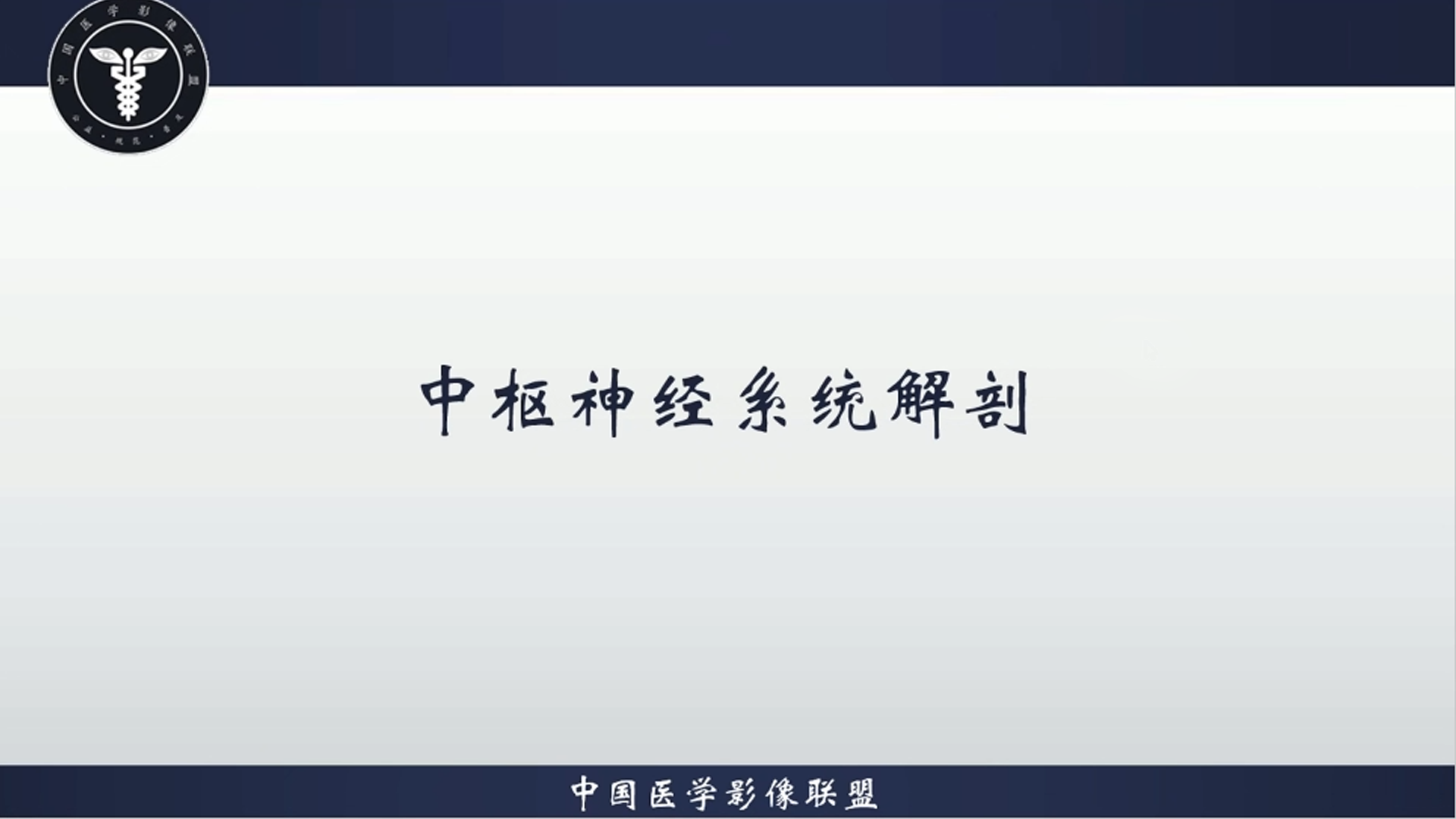 中枢神经系统解剖-正确认识脑沟回
