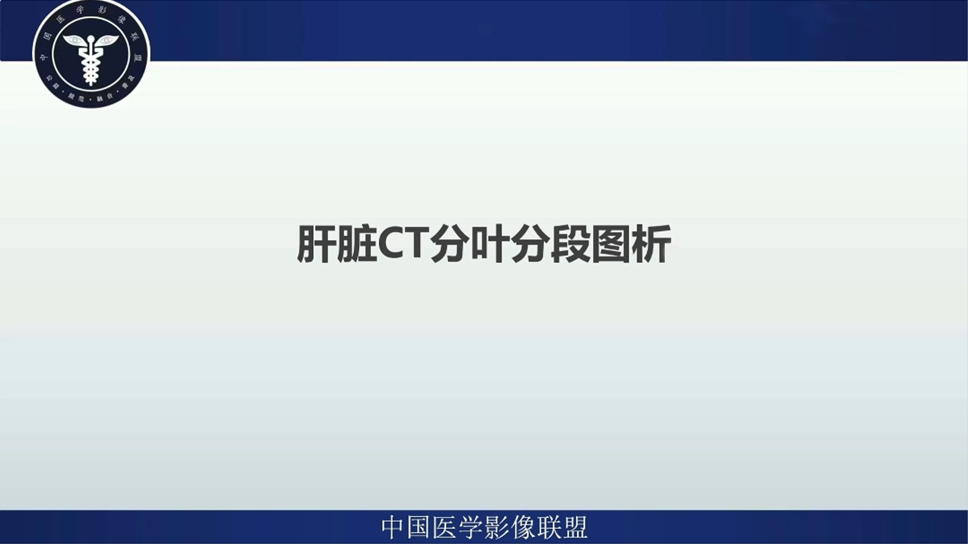 肝脏CT分叶分段图析